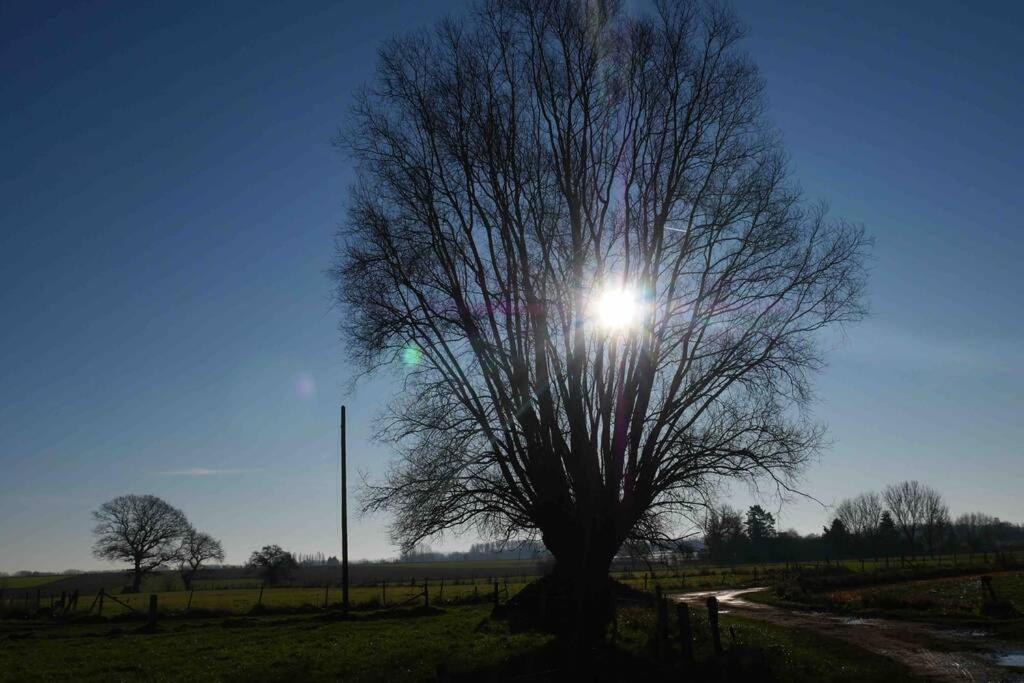 Gite L 'Ecurie A La Campagne Flines-Les-Mortagne Экстерьер фото