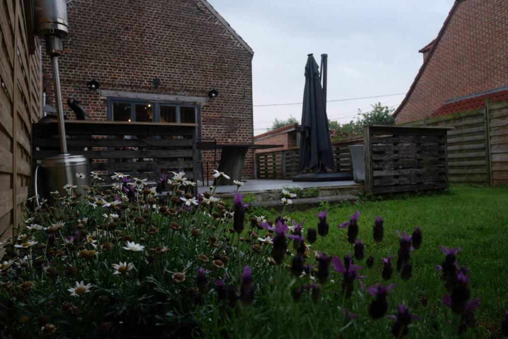 Gite L 'Ecurie A La Campagne Flines-Les-Mortagne Экстерьер фото